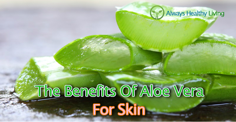 Aloe Vedic 9 Outstanding Benefits Of Aloe Vera For Skin 0335