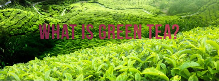 green tea fields